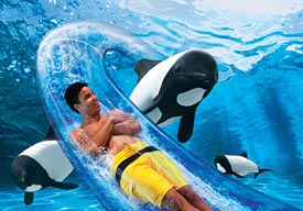 attractions2 attractions2